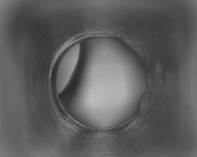 X0000052930246200507080834