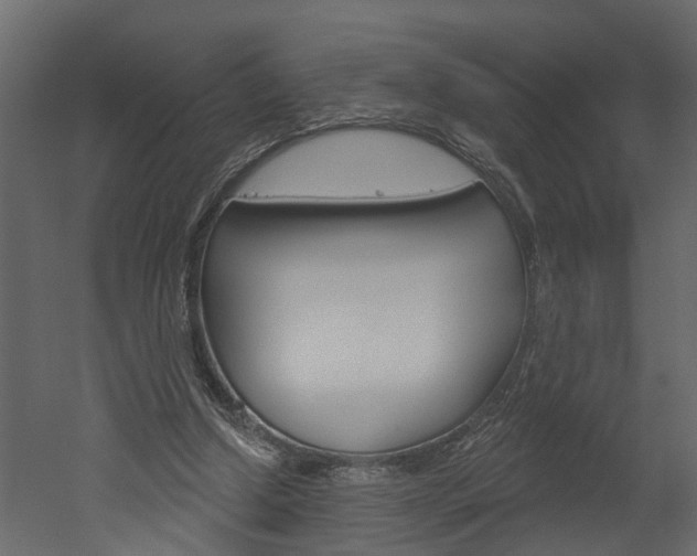 X0000052930250200507080834