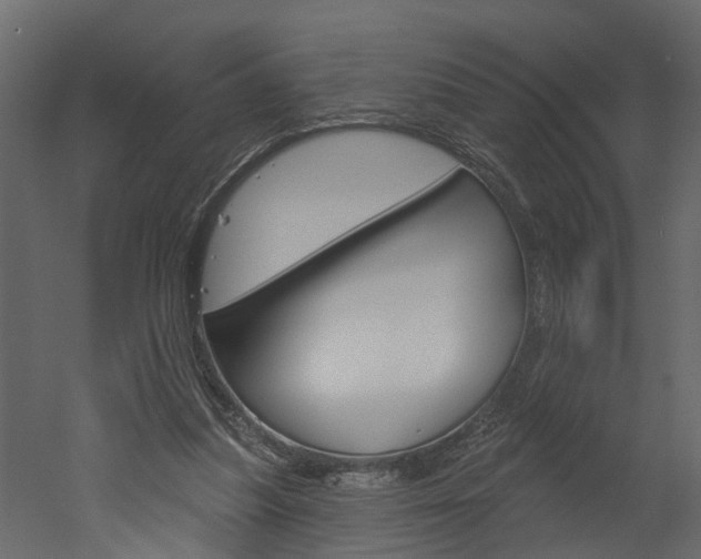 X0000052930251200507080834