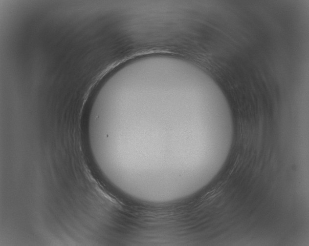 X0000052930252200507080834