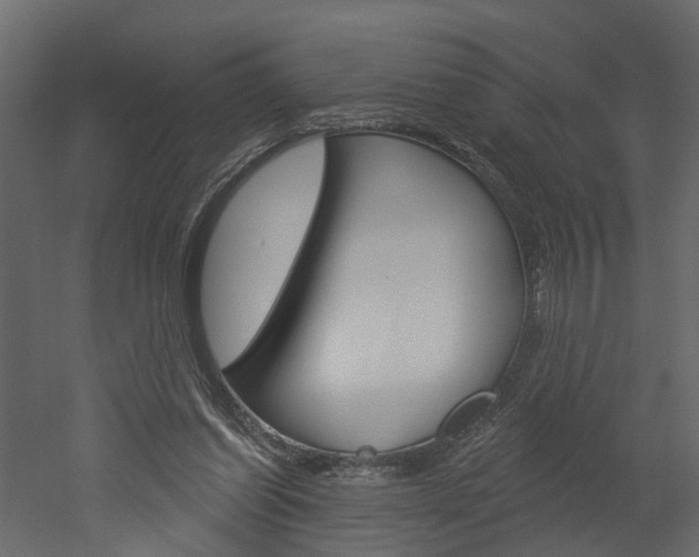 X0000052930254200507080834