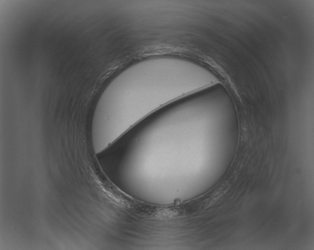 X0000052930257200507080834