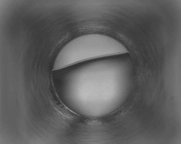 X0000052930258200507080834