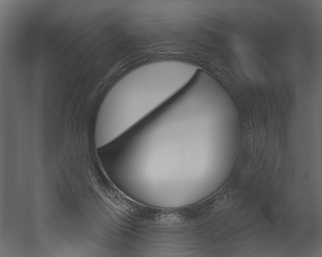 X0000052930262200507080834