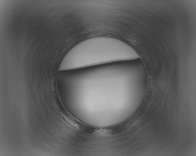 X0000052930269200507080834