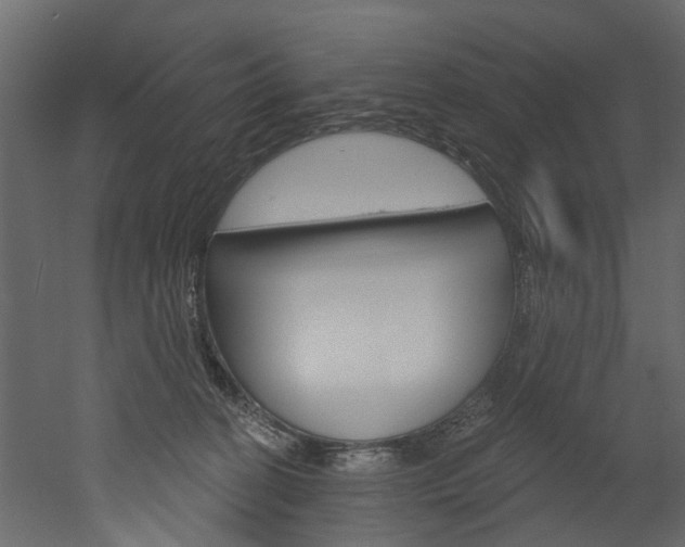 X0000052930274200507080835