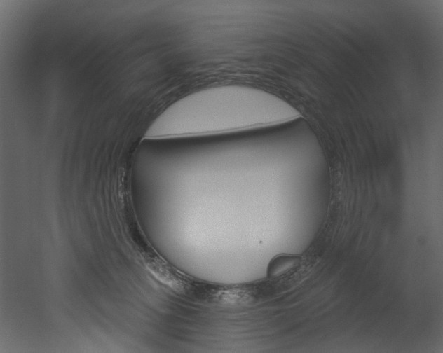 X0000052930275200507080835