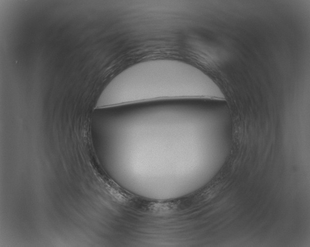 X0000052930277200507080835