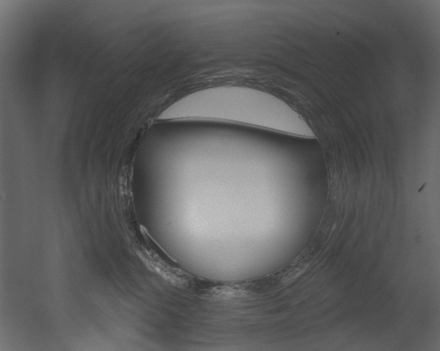 X0000052930284200507080835