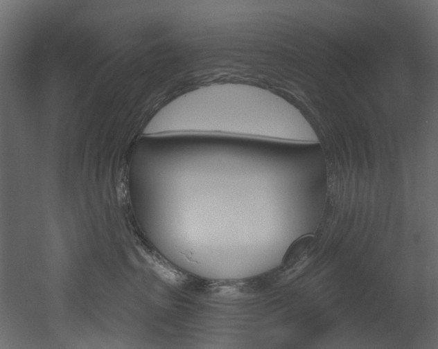 X0000052930285200507080835