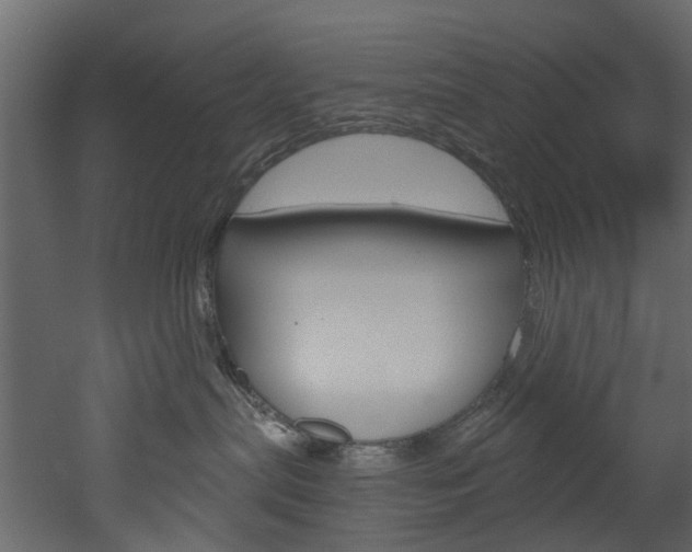 X0000052930287200507080835