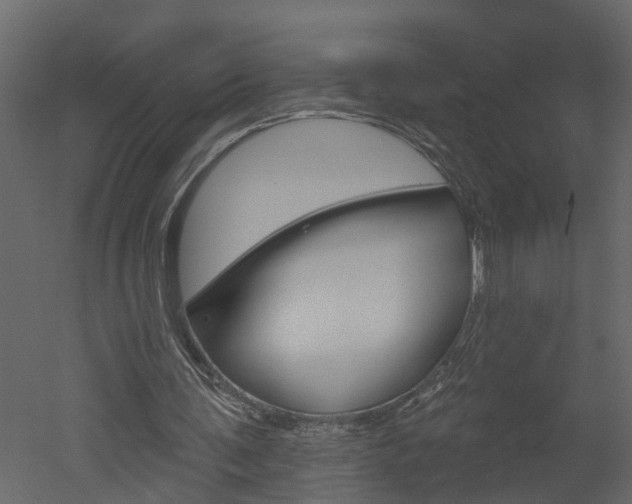 X0000052930291200507080834