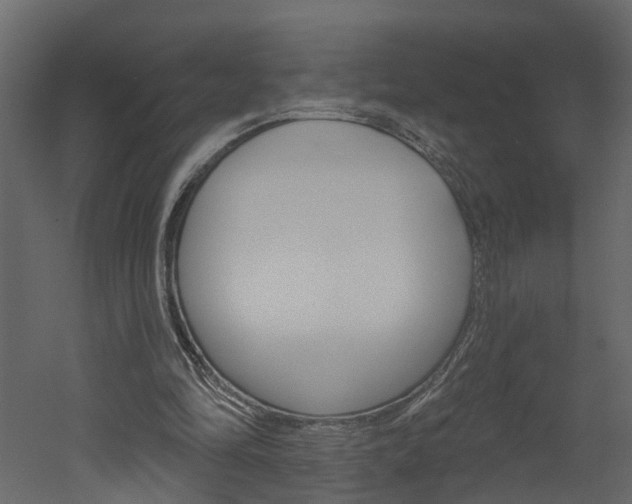 X0000052930294200507080834