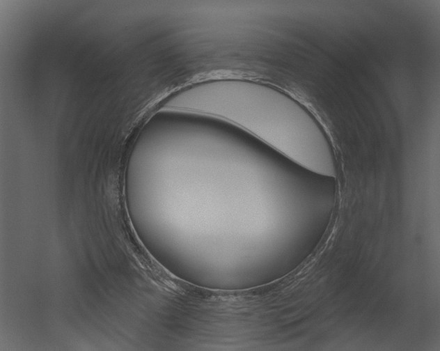 X0000052930297200507080834