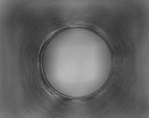 X0000052930298200507080834