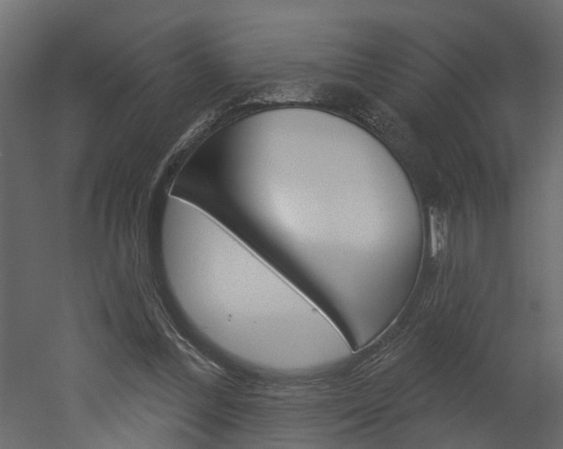 X0000052930300200507080834