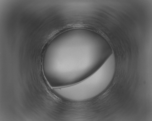 X0000052930301200507080834