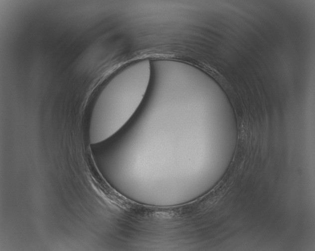 X0000052930302200507080834