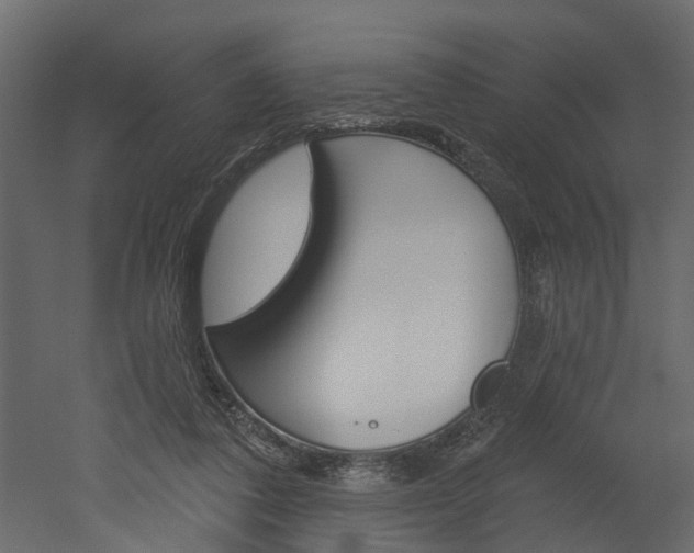 X0000052930308200507080834