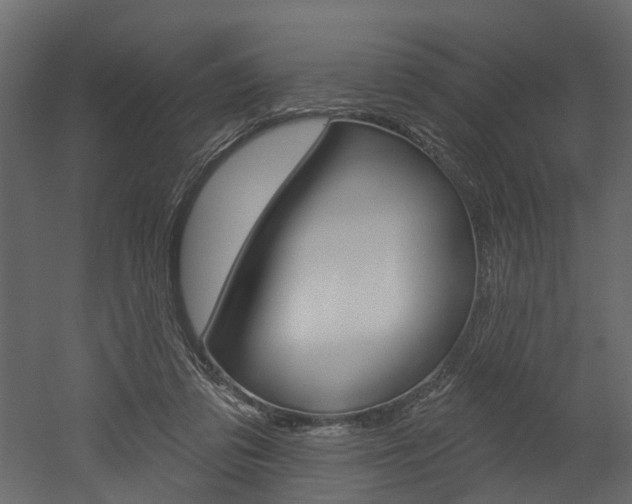X0000052930309200507080834