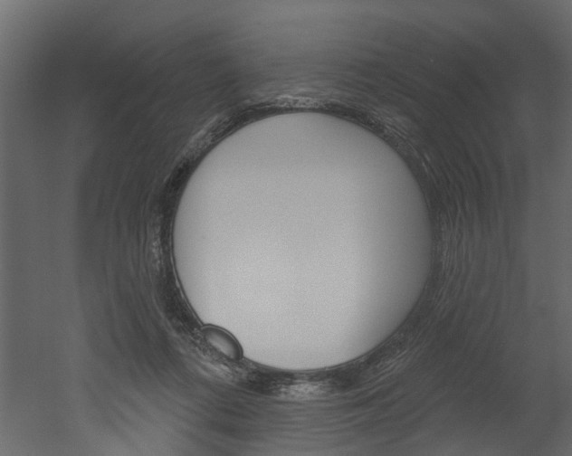 X0000052930312200507080834