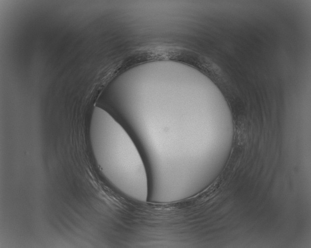 X0000052930314200507080833