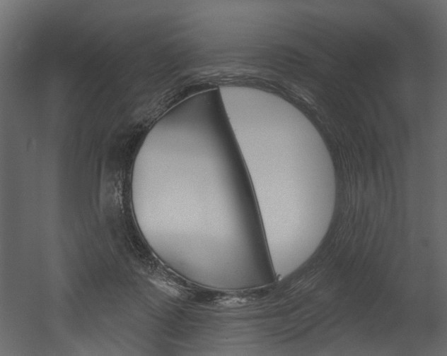 X0000052930315200507080833