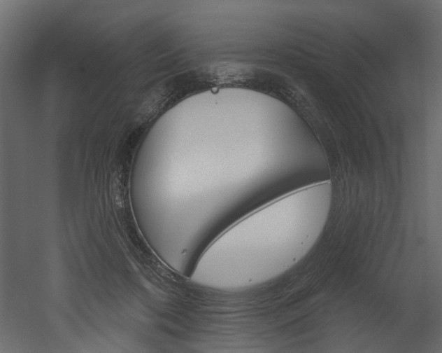 X0000052930316200507080833