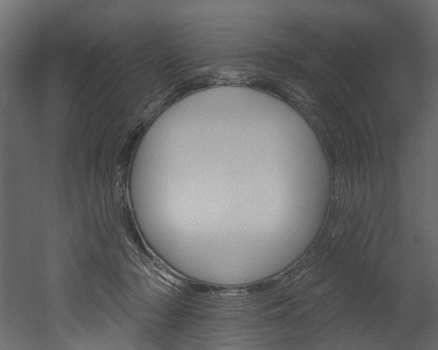 X0000052930318200507080833