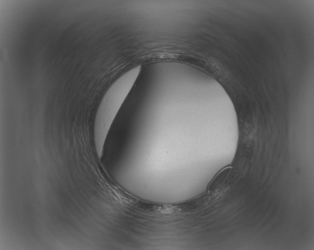 X0000052930321200507080833