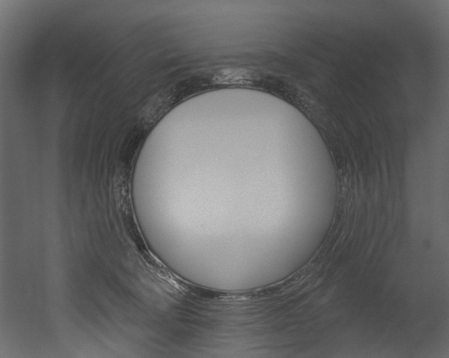 X0000052930322200507080833