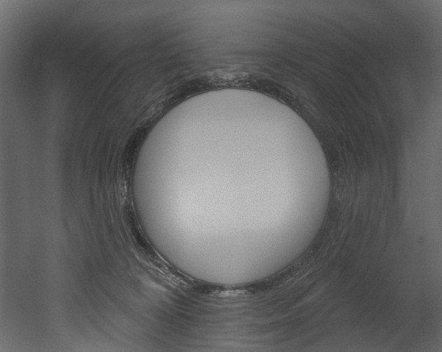 X0000052930324200507080833