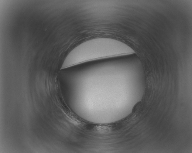 X0000052930327200507080833