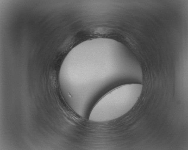 X0000052930328200507080833