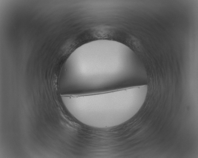X0000052930332200507080833