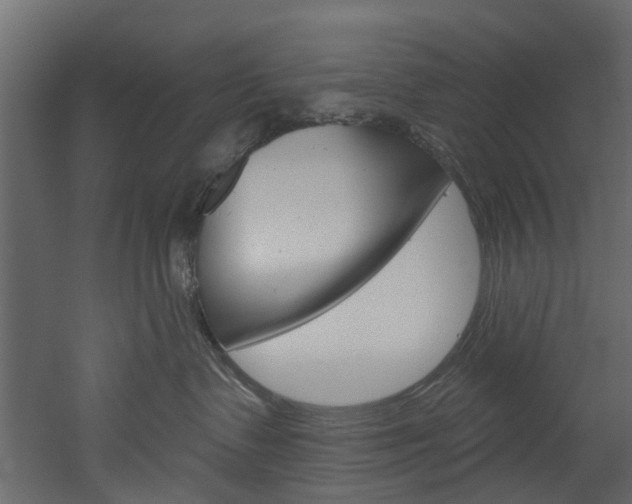 X0000052930335200507080833