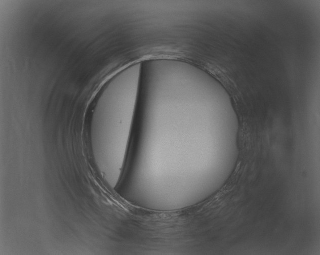 X0000052930338200507080832