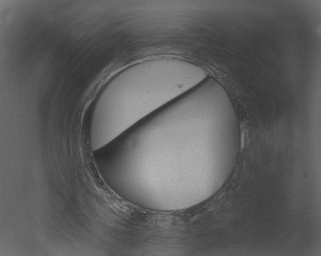X0000052930339200507080832
