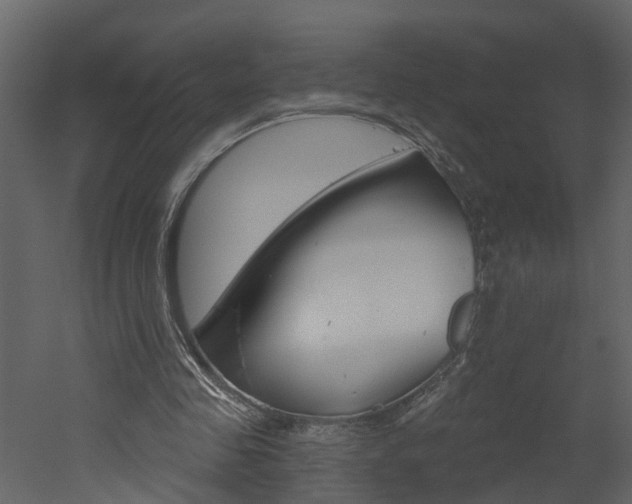 X0000052930341200507080832