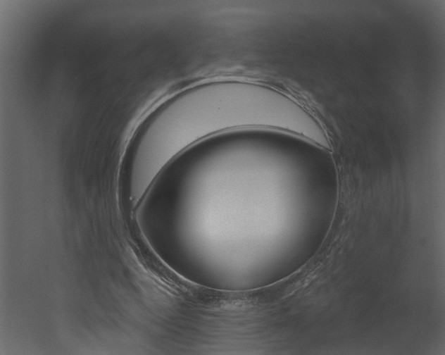 X0000052930344200507080832