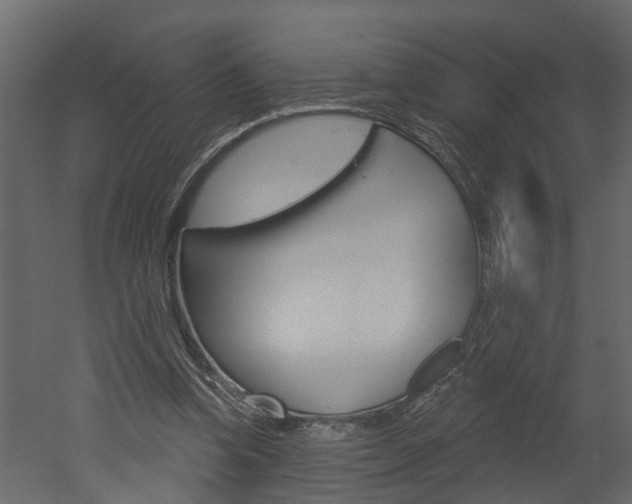 X0000052930346200507080832