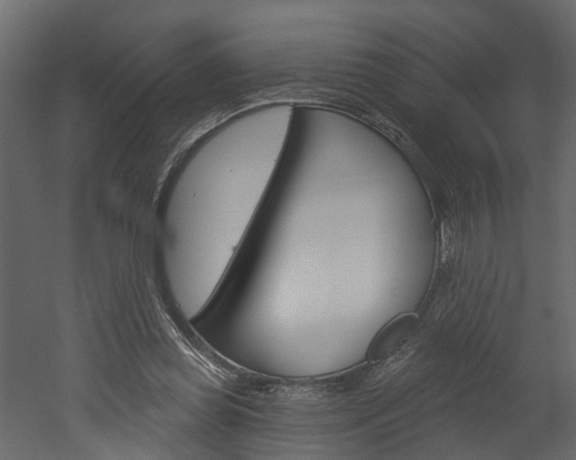 X0000052930349200507080833