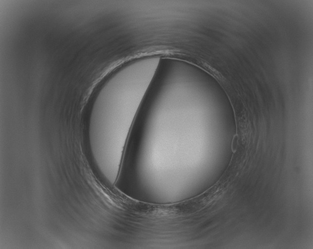 X0000052930350200507080833