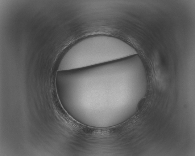 X0000052930354200507080833
