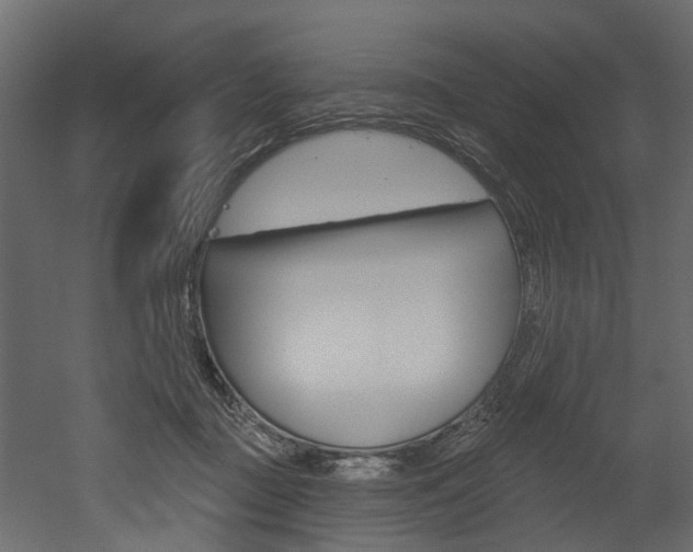 X0000052930363200507080833