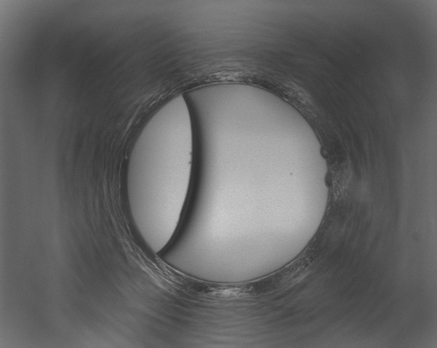 X0000052930365200507080833