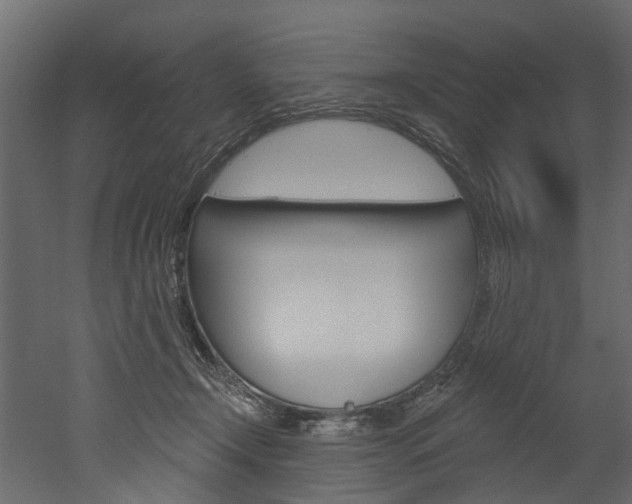 X0000052930366200507080833