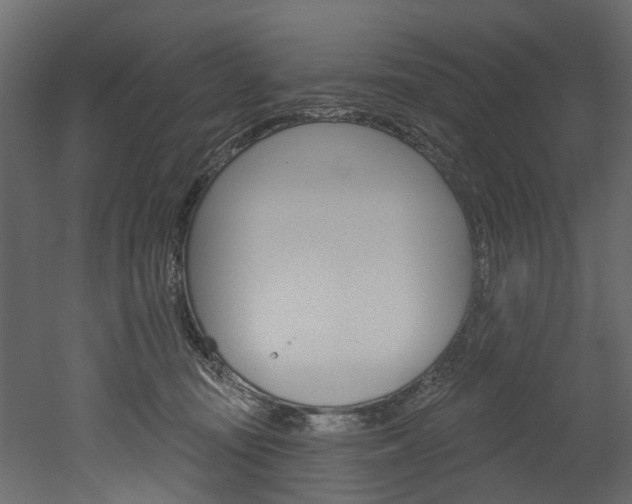 X0000052930371200507080833