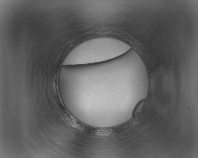 X0000052930373200507080833