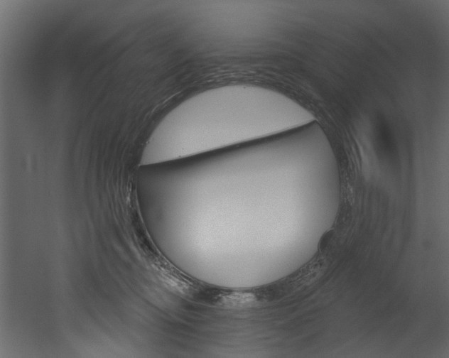 X0000052930374200507080833